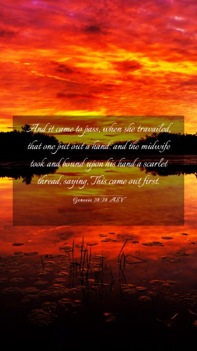 Picture 03 - Genesis 38:28 ASV Mobile Phone Wallpaper - And it came to pass, when she travailed, that one - Mobile Bible Verse Wallpaper