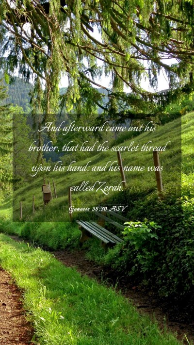 Picture 03 - Genesis 38:30 ASV Mobile Phone Wallpaper - And afterward came out his brother, that had the - Mobile Bible Verse Wallpaper