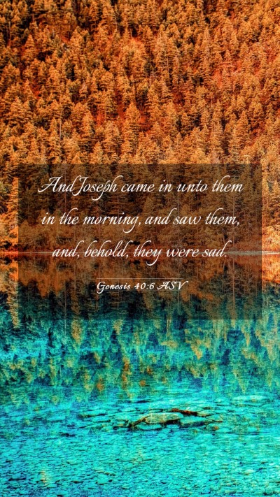 Picture 03 - Genesis 40:6 ASV Mobile Phone Wallpaper - And Joseph came in unto them in the morning, and - Mobile Bible Verse Wallpaper
