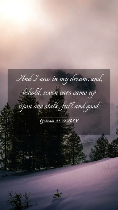 Picture 03 - Genesis 41:22 ASV Mobile Phone Wallpaper - And I saw in my dream, and, behold, seven ears - Mobile Bible Verse Wallpaper