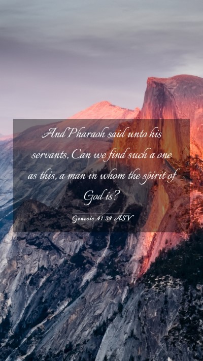 Picture 03 - Genesis 41:38 ASV Mobile Phone Wallpaper - And Pharaoh said unto his servants, Can we find - Mobile Bible Verse Wallpaper