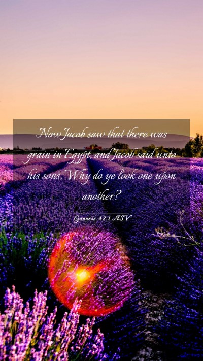 Picture 03 - Genesis 42:1 ASV Mobile Phone Wallpaper - Now Jacob saw that there was grain in Egypt, and - Mobile Bible Verse Wallpaper