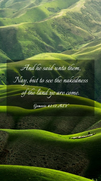 Picture 03 - Genesis 42:12 ASV Mobile Phone Wallpaper - And he said unto them, Nay, but to see the - Mobile Bible Verse Wallpaper