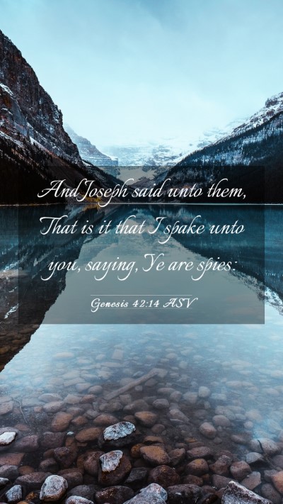 Picture 03 - Genesis 42:14 ASV Mobile Phone Wallpaper - And Joseph said unto them, That is it that I - Mobile Bible Verse Wallpaper
