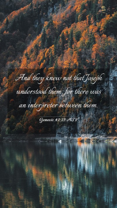 Picture 03 - Genesis 42:23 ASV Mobile Phone Wallpaper - And they knew not that Joseph understood them; - Mobile Bible Verse Wallpaper