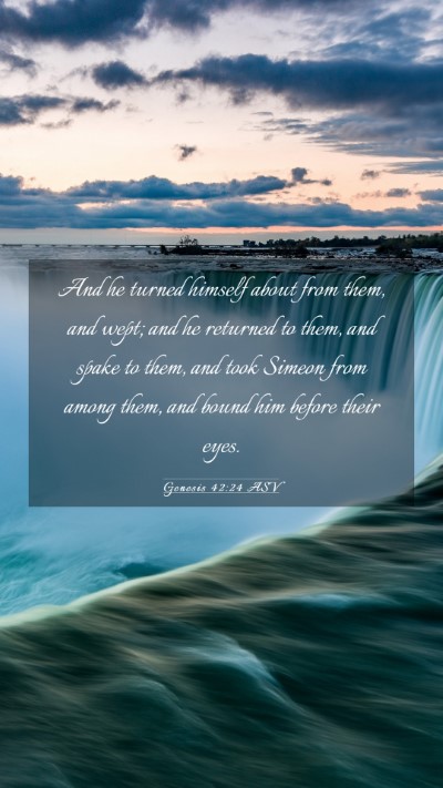 Picture 03 - Genesis 42:24 ASV Mobile Phone Wallpaper - And he turned himself about from them, and wept; - Mobile Bible Verse Wallpaper