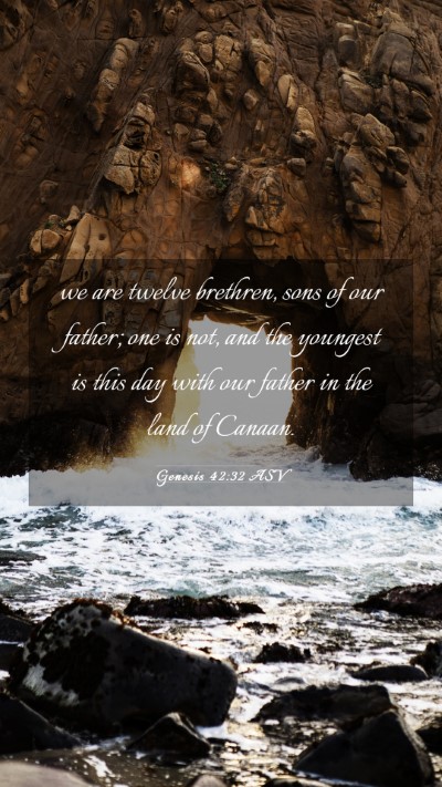 Picture 03 - Genesis 42:32 ASV Mobile Phone Wallpaper - we are twelve brethren, sons of our father; one - Mobile Bible Verse Wallpaper
