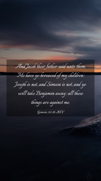 Picture 03 - Genesis 42:36 ASV Mobile Phone Wallpaper - And Jacob their father said unto them, Me have ye - Mobile Bible Verse Wallpaper