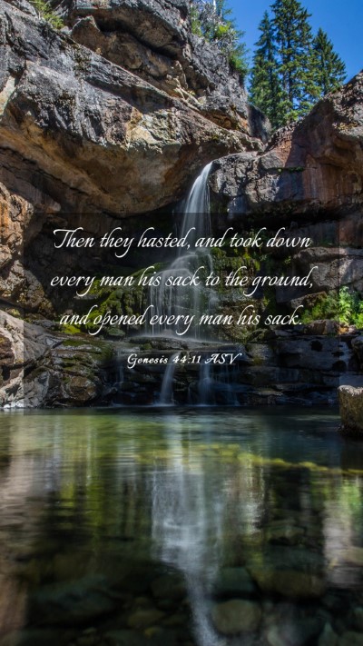 Picture 03 - Genesis 44:11 ASV Mobile Phone Wallpaper - Then they hasted, and took down every man his - Mobile Bible Verse Wallpaper