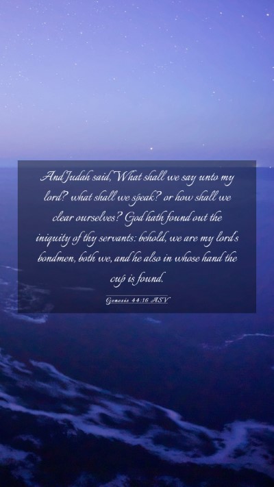 Picture 03 - Genesis 44:16 ASV Mobile Phone Wallpaper - And Judah said, What shall we say unto my lord? - Mobile Bible Verse Wallpaper