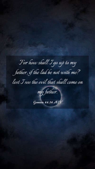 Picture 03 - Genesis 44:34 ASV Mobile Phone Wallpaper - For how shall I go up to my father, if the lad be - Mobile Bible Verse Wallpaper