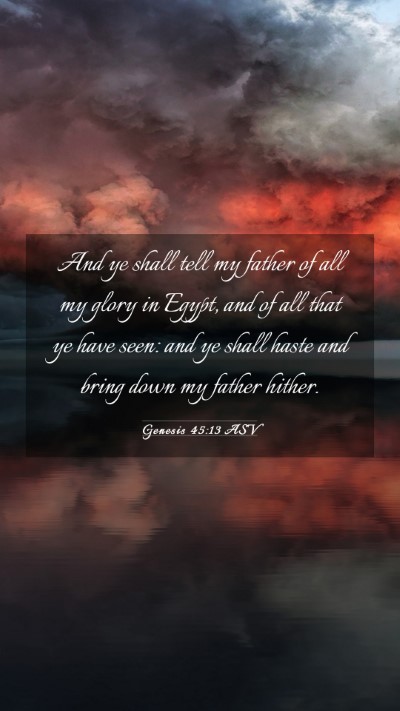 Picture 03 - Genesis 45:13 ASV Mobile Phone Wallpaper - And ye shall tell my father of all my glory in - Mobile Bible Verse Wallpaper