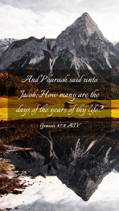 Picture 03 - Genesis 47:8 ASV Mobile Phone Wallpaper - And Pharaoh said unto Jacob, How many are the - Mobile Bible Verse Wallpaper