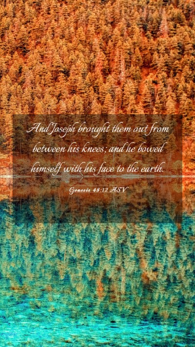 Picture 03 - Genesis 48:12 ASV Mobile Phone Wallpaper - And Joseph brought them out from between his - Mobile Bible Verse Wallpaper