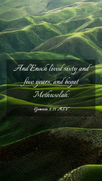 Picture 03 - Genesis 5:21 ASV Mobile Phone Wallpaper - And Enoch lived sixty and five years, and begat - Mobile Bible Verse Wallpaper