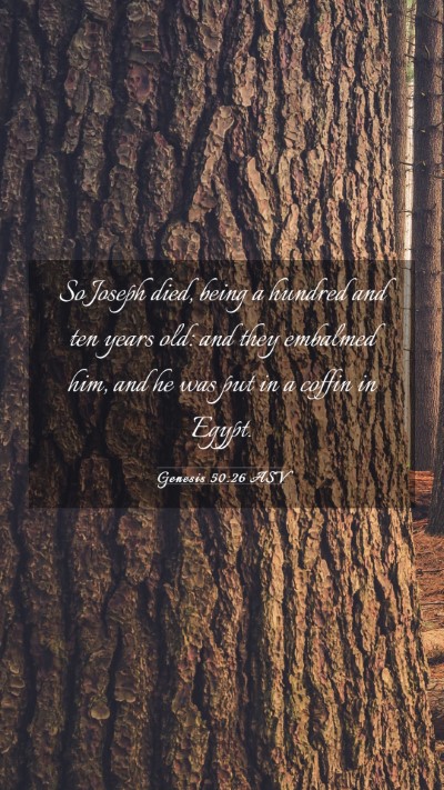 Picture 03 - Genesis 50:26 ASV Mobile Phone Wallpaper - So Joseph died, being a hundred and ten years - Mobile Bible Verse Wallpaper