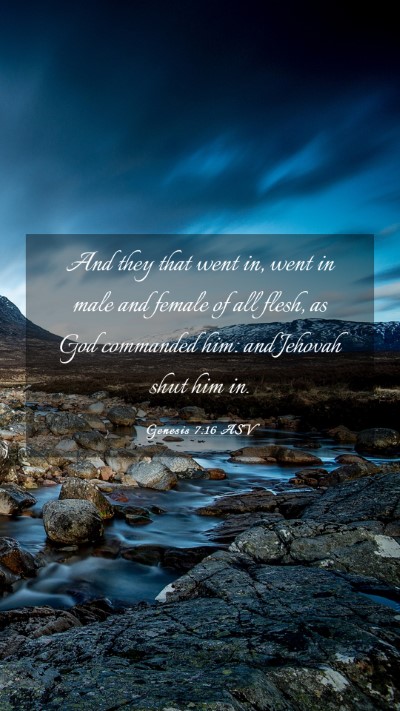 Picture 03 - Genesis 7:16 ASV Mobile Phone Wallpaper - And they that went in, went in male and female of - Mobile Bible Verse Wallpaper