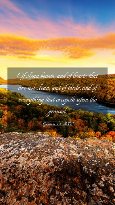 Picture 03 - Genesis 7:8 ASV Mobile Phone Wallpaper - Of clean beasts, and of beasts that are not - Mobile Bible Verse Wallpaper