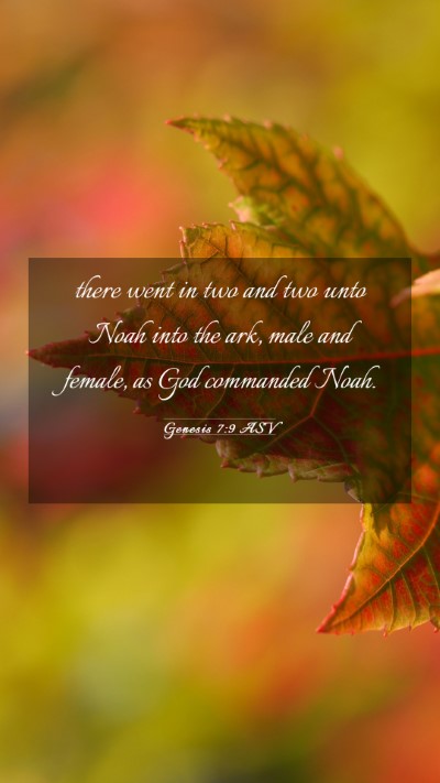 Picture 03 - Genesis 7:9 ASV Mobile Phone Wallpaper - there went in two and two unto Noah into the ark, - Mobile Bible Verse Wallpaper