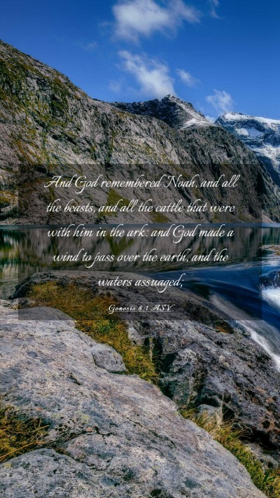 Picture 03 - Genesis 8:1 ASV Mobile Phone Wallpaper - And God remembered Noah, and all the beasts, and - Mobile Bible Verse Wallpaper