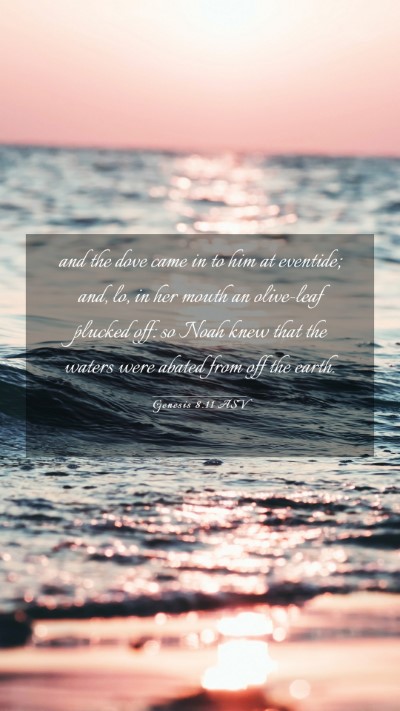 Picture 03 - Genesis 8:11 ASV Mobile Phone Wallpaper - and the dove came in to him at eventide; and, lo, - Mobile Bible Verse Wallpaper