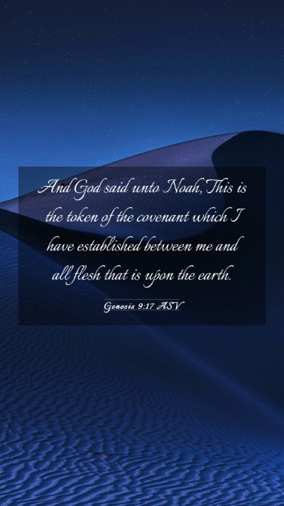 Picture 03 - Genesis 9:17 ASV Mobile Phone Wallpaper - And God said unto Noah, This is the token of the - Mobile Bible Verse Wallpaper