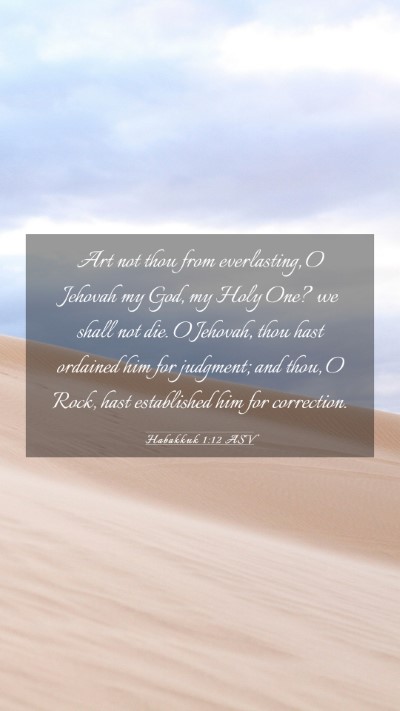 Picture 03 - Habakkuk 1:12 ASV Mobile Phone Wallpaper - Art not thou from everlasting, O Jehovah my God, - Mobile Bible Verse Wallpaper