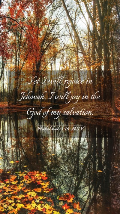 Picture 03 - Habakkuk 3:18 ASV Mobile Phone Wallpaper - Yet I will rejoice in Jehovah, I will joy in the - Mobile Bible Verse Wallpaper