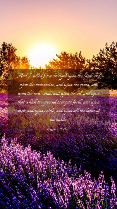 Picture 03 - Haggai 1:11 ASV Mobile Phone Wallpaper - And I called for a drought upon the land, and - Mobile Bible Verse Wallpaper
