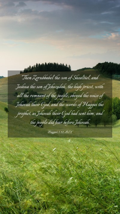 Picture 03 - Haggai 1:12 ASV Mobile Phone Wallpaper - Then Zerubbabel the son of Shealtiel, and Joshua - Mobile Bible Verse Wallpaper