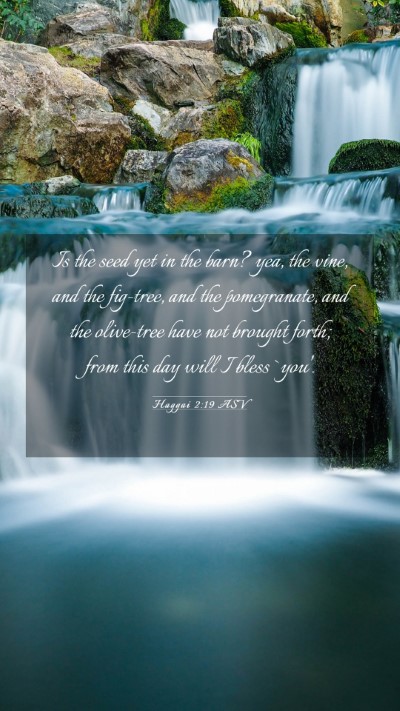 Picture 03 - Haggai 2:19 ASV Mobile Phone Wallpaper - Is the seed yet in the barn? yea, the vine, and - Mobile Bible Verse Wallpaper
