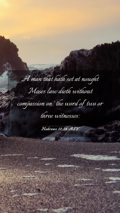 Picture 03 - Hebrews 10:28 ASV Mobile Phone Wallpaper - A man that hath set at nought Moses law dieth - Mobile Bible Verse Wallpaper