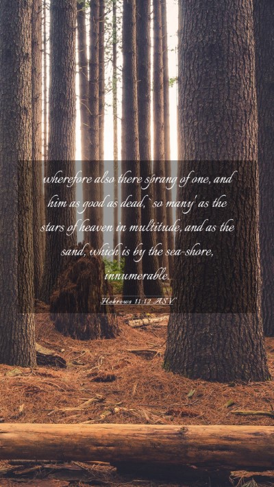 Picture 03 - Hebrews 11:12 ASV Mobile Phone Wallpaper - wherefore also there sprang of one, and him as - Mobile Bible Verse Wallpaper