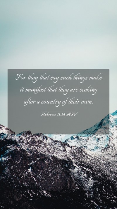 Picture 03 - Hebrews 11:14 ASV Mobile Phone Wallpaper - For they that say such things make it manifest - Mobile Bible Verse Wallpaper