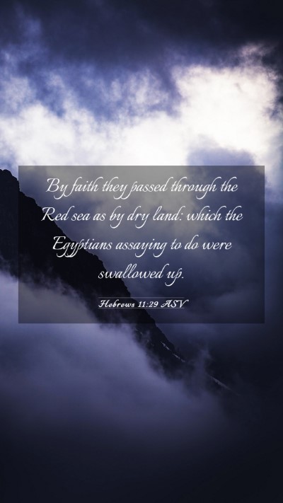 Picture 03 - Hebrews 11:29 ASV Mobile Phone Wallpaper - By faith they passed through the Red sea as by - Mobile Bible Verse Wallpaper