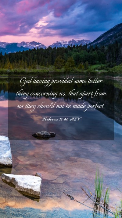 Picture 03 - Hebrews 11:40 ASV Mobile Phone Wallpaper - God having provided some better thing concerning - Mobile Bible Verse Wallpaper