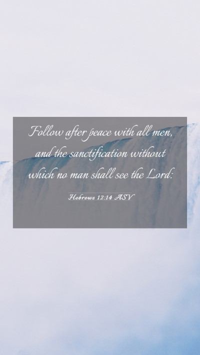 Picture 03 - Hebrews 12:14 ASV Mobile Phone Wallpaper - Follow after peace with all men, and the - Mobile Bible Verse Wallpaper