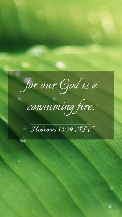 Picture 03 - Hebrews 12:29 ASV Mobile Phone Wallpaper - for our God is a consuming - Mobile Bible Verse Wallpaper