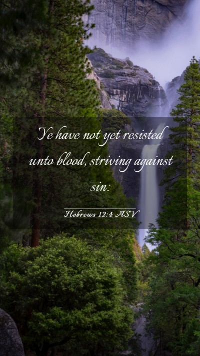 Picture 03 - Hebrews 12:4 ASV Mobile Phone Wallpaper - Ye have not yet resisted unto blood, striving - Mobile Bible Verse Wallpaper