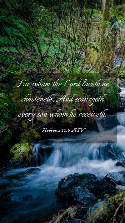 Picture 03 - Hebrews 12:6 ASV Mobile Phone Wallpaper - For whom the Lord loveth he chasteneth, And - Mobile Bible Verse Wallpaper