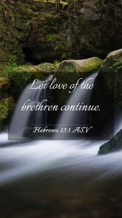 Picture 03 - Hebrews 13:1 ASV Mobile Phone Wallpaper - Let love of the brethren - Mobile Bible Verse Wallpaper