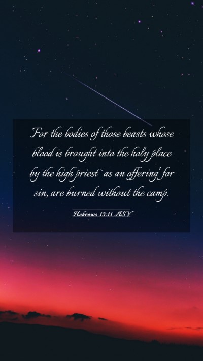 Picture 03 - Hebrews 13:11 ASV Mobile Phone Wallpaper - For the bodies of those beasts whose blood is - Mobile Bible Verse Wallpaper