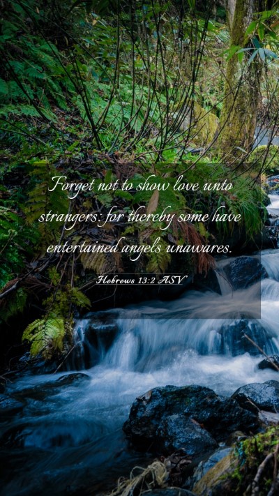 Picture 03 - Hebrews 13:2 ASV Mobile Phone Wallpaper - Forget not to show love unto strangers: for - Mobile Bible Verse Wallpaper