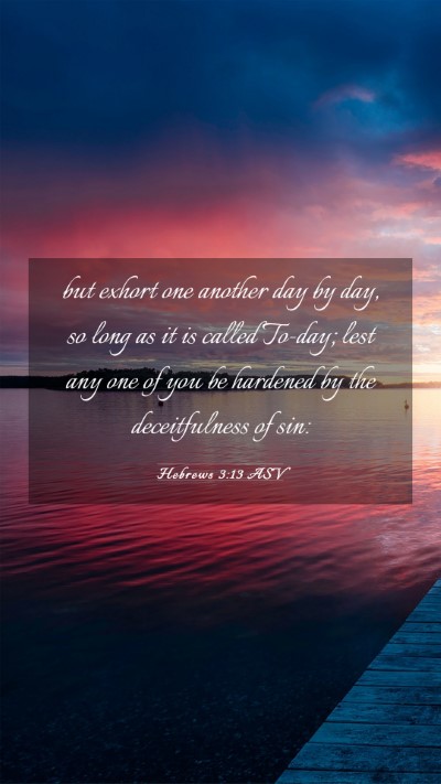 Picture 03 - Hebrews 3:13 ASV Mobile Phone Wallpaper - but exhort one another day by day, so long as it - Mobile Bible Verse Wallpaper