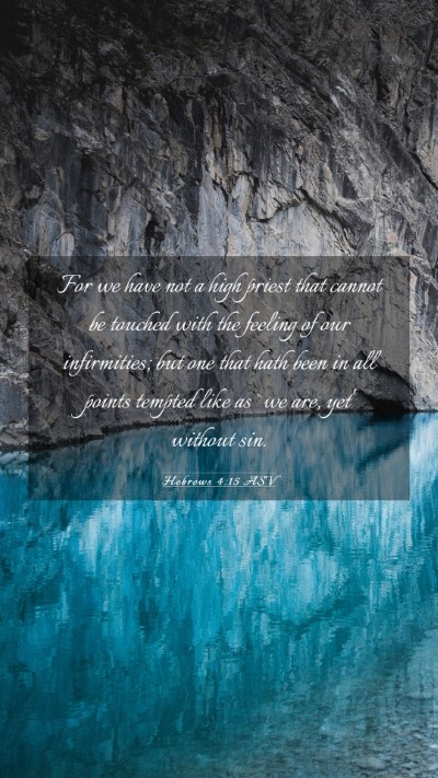 Picture 03 - Hebrews 4:15 ASV Mobile Phone Wallpaper - For we have not a high priest that cannot be - Mobile Bible Verse Wallpaper