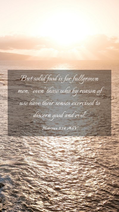 Picture 03 - Hebrews 5:14 ASV Mobile Phone Wallpaper - But solid food is for fullgrown men, `even' those - Mobile Bible Verse Wallpaper
