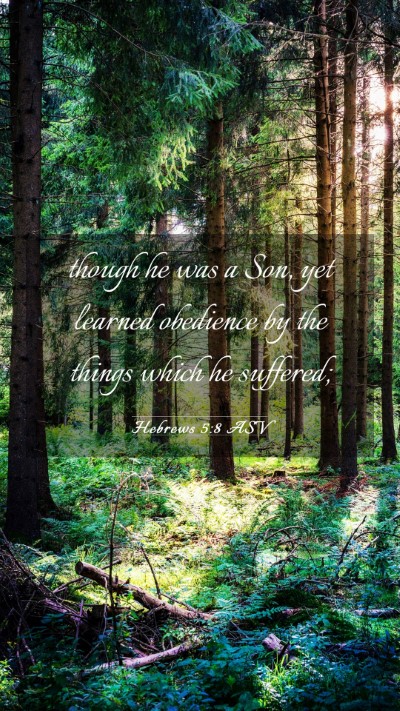 Picture 03 - Hebrews 5:8 ASV Mobile Phone Wallpaper - though he was a Son, yet learned obedience by the - Mobile Bible Verse Wallpaper