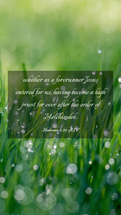 Picture 03 - Hebrews 6:20 ASV Mobile Phone Wallpaper - whither as a forerunner Jesus entered for us, - Mobile Bible Verse Wallpaper