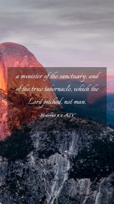 Picture 03 - Hebrews 8:2 ASV Mobile Phone Wallpaper - a minister of the sanctuary, and of the true - Mobile Bible Verse Wallpaper