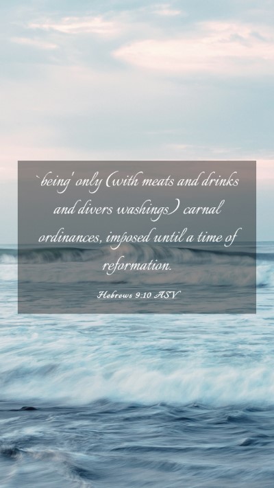 Picture 03 - Hebrews 9:10 ASV Mobile Phone Wallpaper - `being' only (with meats and drinks and divers - Mobile Bible Verse Wallpaper